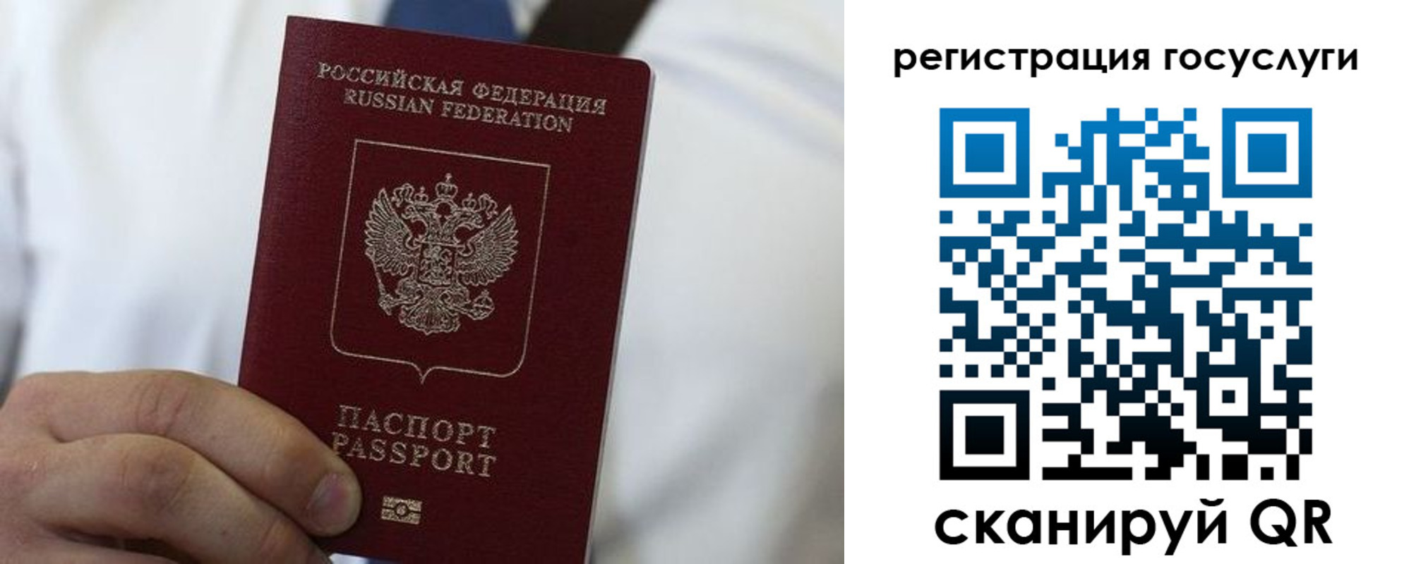 прописка в Алексине